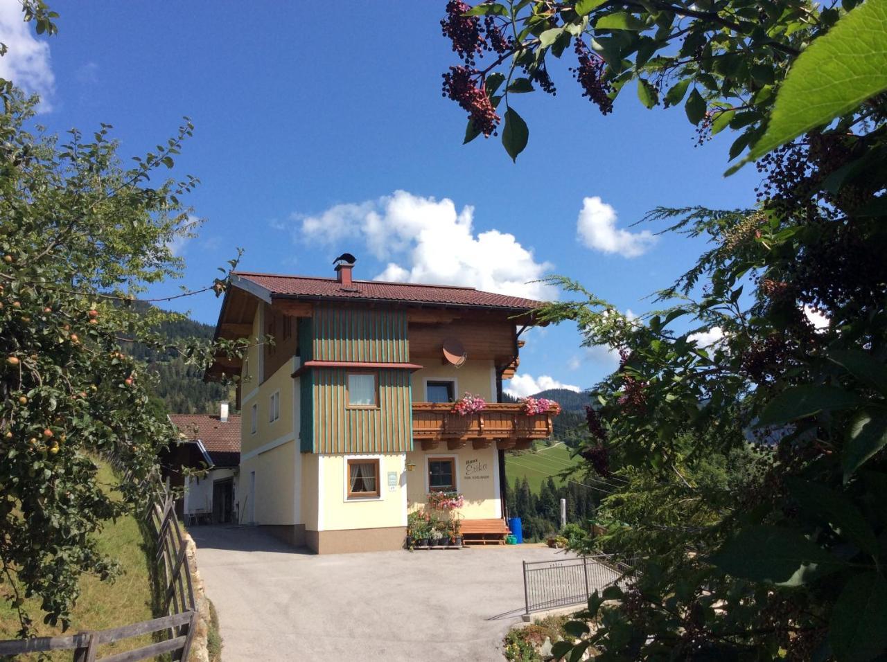 Haus Erika Apartment Wagrain Bagian luar foto