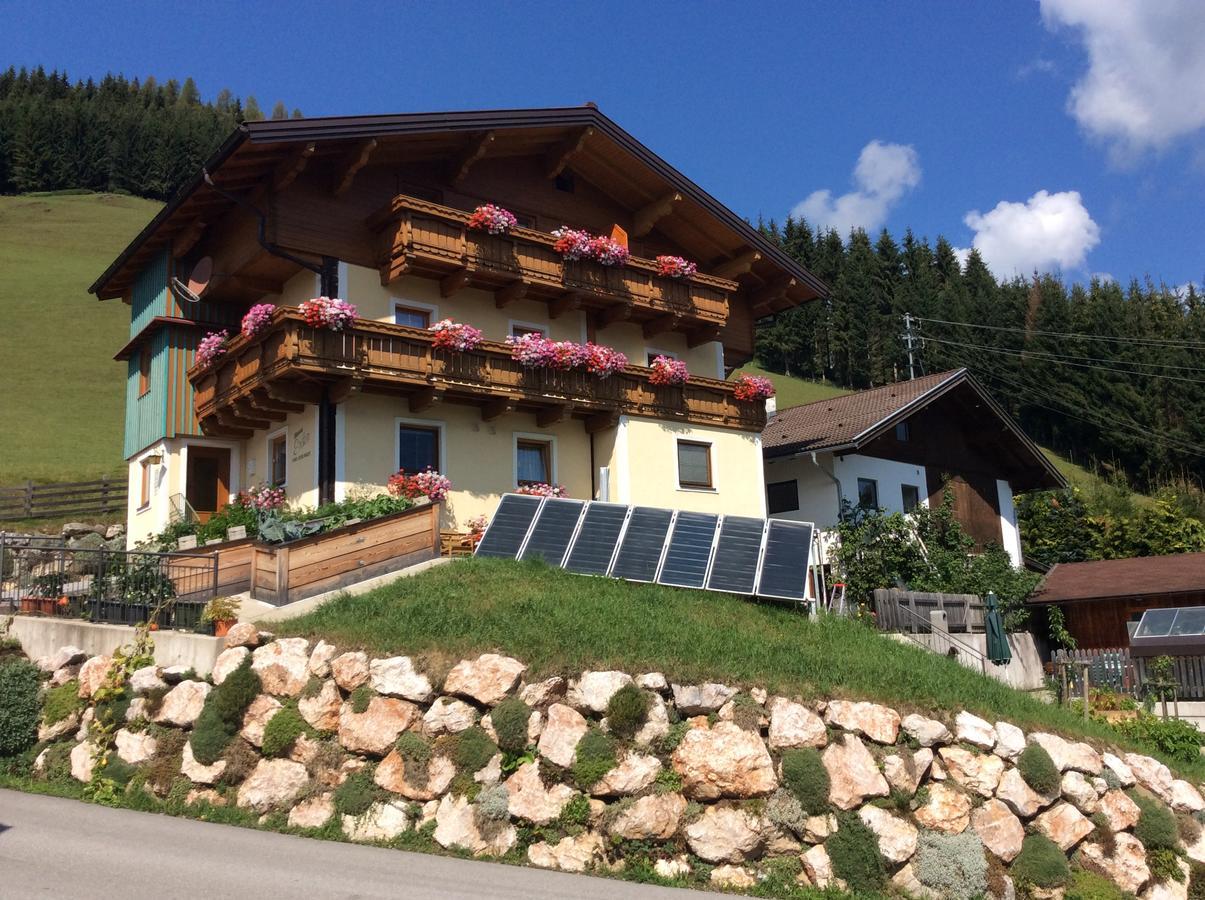 Haus Erika Apartment Wagrain Bagian luar foto