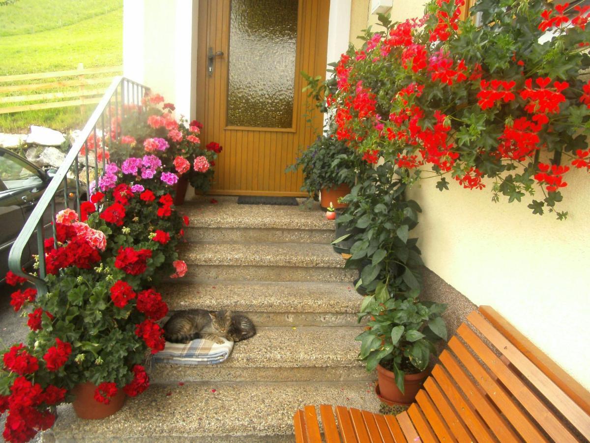 Haus Erika Apartment Wagrain Bagian luar foto